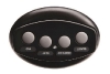 Pentair iS4 Spa-Side Remote Control | 4 Button Black 100 ft Cable | 521892