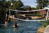 SR Smith Swim Nâ€™ Spike Salt Pool Friendly Volleyball Residential Game | with 20' Net and Anchors | Black | S-VOLY20