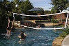 SR Smith Swim Nâ€™ Spike Salt Pool Friendly Volleyball Residential Game | with 16' Net and Anchor | Black | S-VOLY