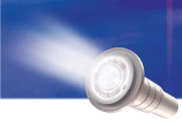 Pentair GLOBRITE White Pool and Spa LED Light | 12V 30' Cord | 602102